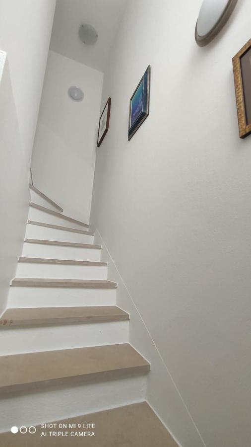 Apartmani Gavran Pirovac Εξωτερικό φωτογραφία